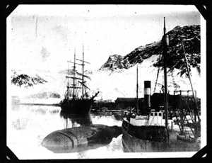 Tijuca